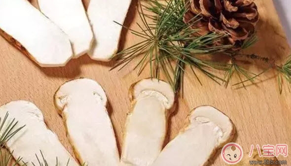 孕婦可以吃松茸嗎 適合孕婦的松茸做法 孕婦可以吃松茸嗎 適合孕婦的松茸做法