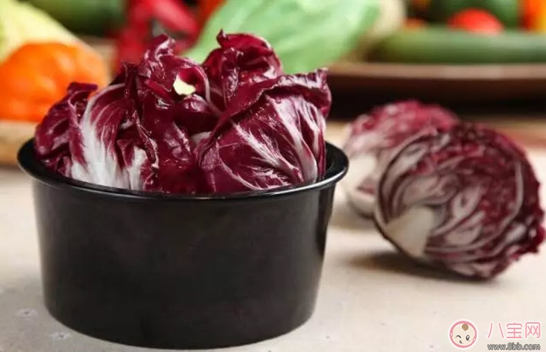 紫包菜孕婦可以生吃涼拌吃嗎 適合孕婦吃的紫甘藍(lán)涼拌菜有哪些 紫包菜孕婦可以生吃涼拌吃嗎 適合孕婦吃的紫甘藍(lán)涼拌菜有哪些