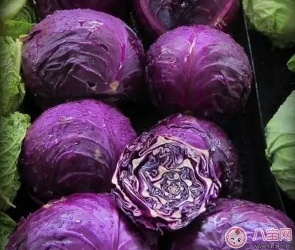 紫包菜孕婦可以生吃涼拌吃嗎 適合孕婦吃的紫甘藍(lán)涼拌菜有哪些 紫包菜孕婦可以生吃涼拌吃嗎 適合孕婦吃的紫甘藍(lán)涼拌菜有哪些