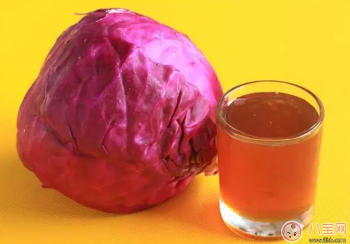 紫包菜孕婦可以生吃涼拌吃嗎 適合孕婦吃的紫甘藍(lán)涼拌菜有哪些 紫包菜孕婦可以生吃涼拌吃嗎 適合孕婦吃的紫甘藍(lán)涼拌菜有哪些