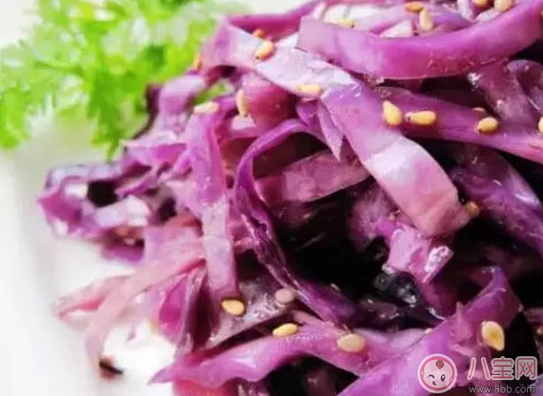 紫包菜孕婦可以生吃涼拌吃嗎 適合孕婦吃的紫甘藍(lán)涼拌菜有哪些 紫包菜孕婦可以生吃涼拌吃嗎 適合孕婦吃的紫甘藍(lán)涼拌菜有哪些