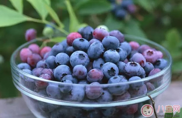 孕婦一天吃多少顆藍(lán)莓 孕婦吃藍(lán)莓怎么洗才干凈 孕婦一天吃多少顆藍(lán)莓 孕婦吃藍(lán)莓怎么洗才干凈