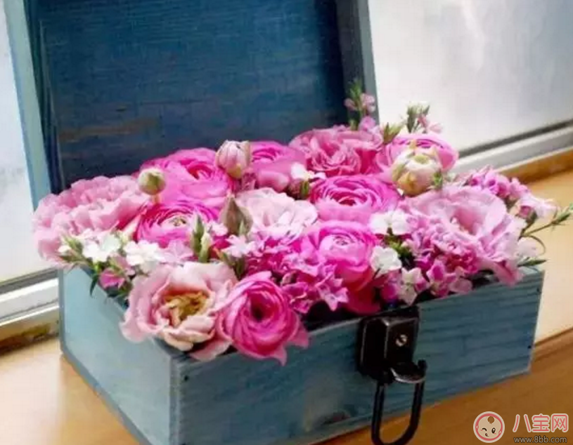 七夕節(jié)送什么花給老婆 怎么送花更浪漫 七夕節(jié)送什么花給老婆 怎么送花更浪漫