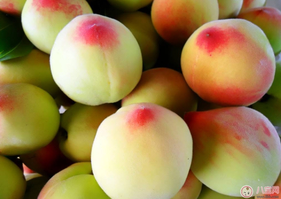 孕婦可以吃毛桃嗎 孕婦吃毛桃有什么功效 孕婦可以吃毛桃嗎 孕婦吃毛桃有什么功效