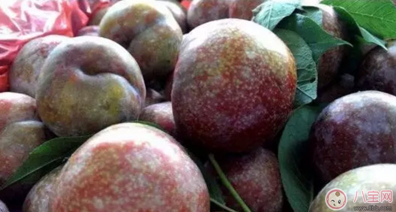 紅心李子孕婦可以吃嗎 孕婦最多能吃多少個紅李子 紅心李子孕婦可以吃嗎 孕婦最多能吃多少個紅李子