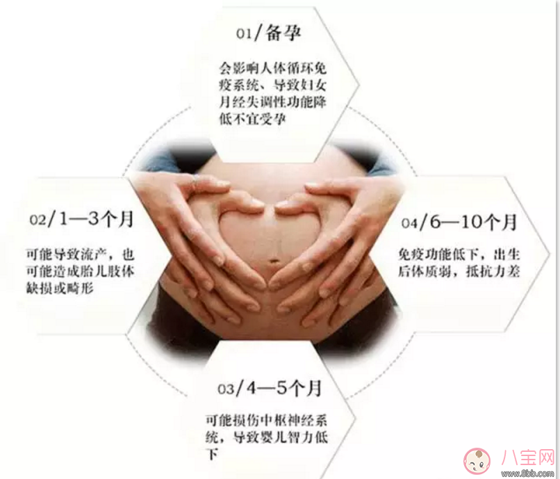 樂朵抗射線防輻射服 地鐵安檢全能防 適合所有孕媽和要備孕的妞們！