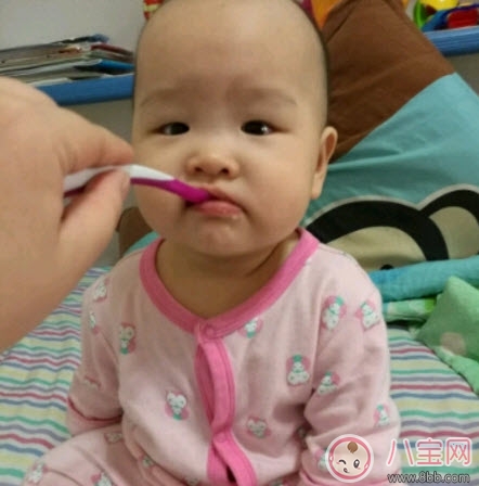 小白熊輔食機(jī)怎么樣 小白熊輔食機(jī)好用嗎(小白熊輔食機(jī)0673測評) 小白熊輔食機(jī)怎么樣 小白熊輔食機(jī)好用嗎(小白熊輔食機(jī)0673測評)