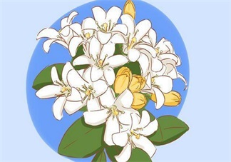 探望寶寶的送什么好 送孩子東西這些要避開