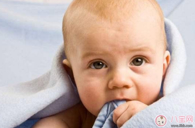 寶寶圍嘴哪種好 寶寶圍嘴如何選擇(尺寸材質(zhì)顏色有講究)