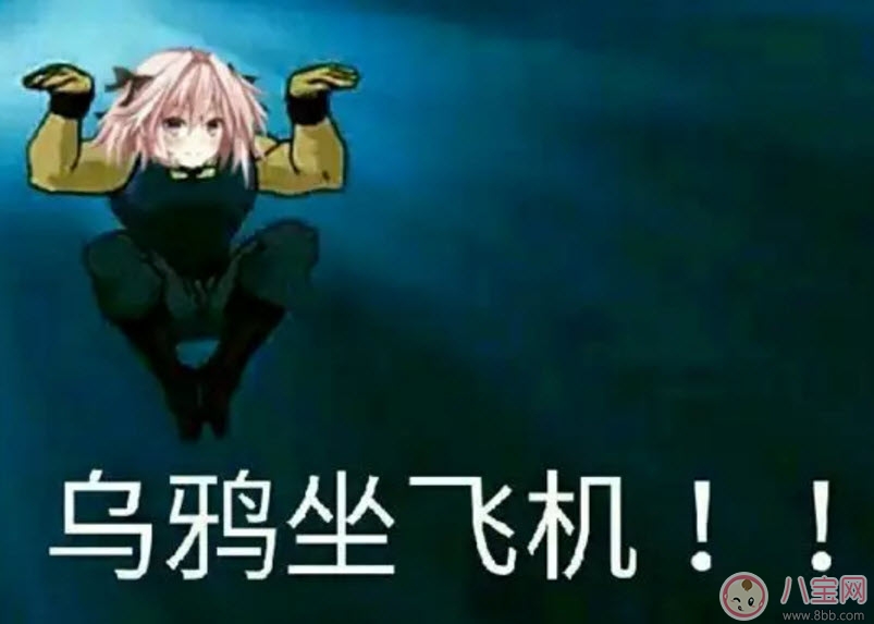 烏鴉坐飛機什么梗 阿福烏鴉坐飛機第幾集