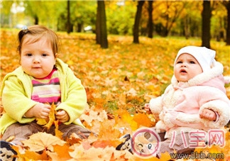 寶寶秋季飲食  輔食原則和制作