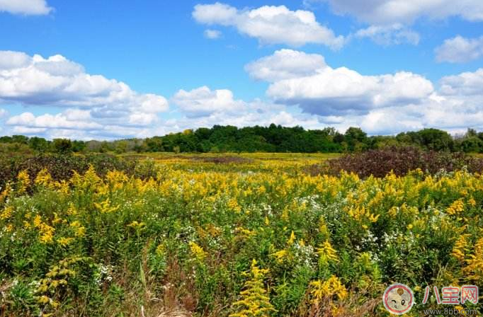 貼秋膘怎么吃好 做什么吃最有食欲