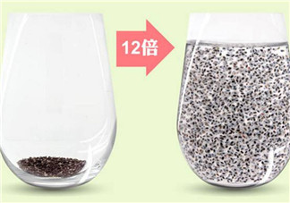 奇亞籽孕婦能吃嗎 孕婦吃奇亞籽的好處壞處有哪些