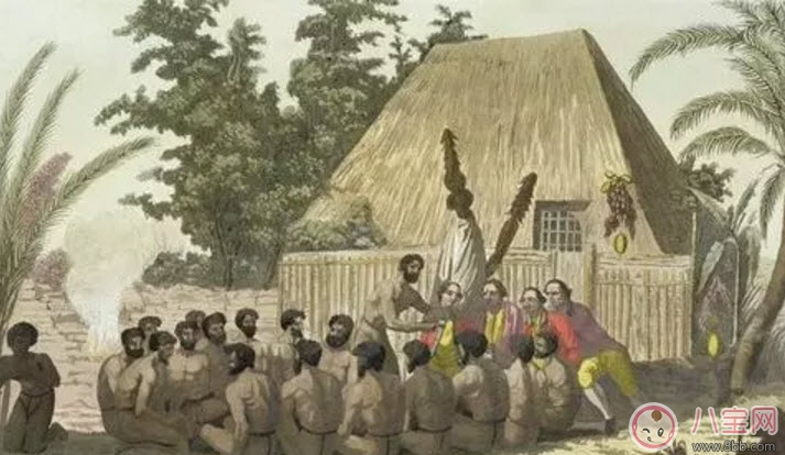 奇亞籽為什么這么火 奇亞籽的功效與作用(奇亞籽副作用)