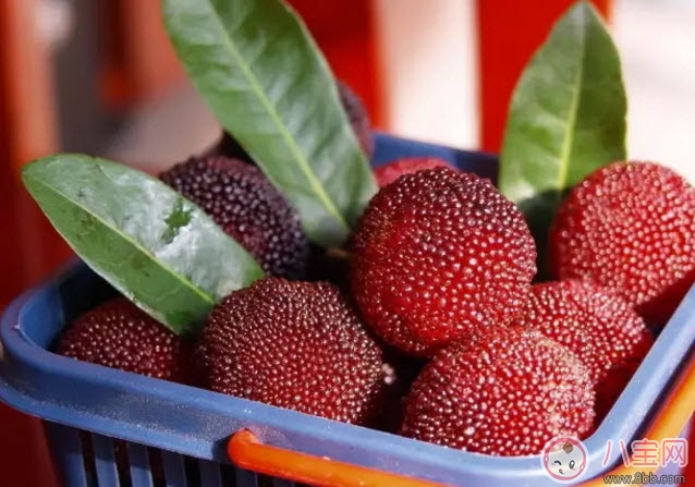 孕婦可以吃新鮮楊梅嗎 孕婦吃楊梅注意事項