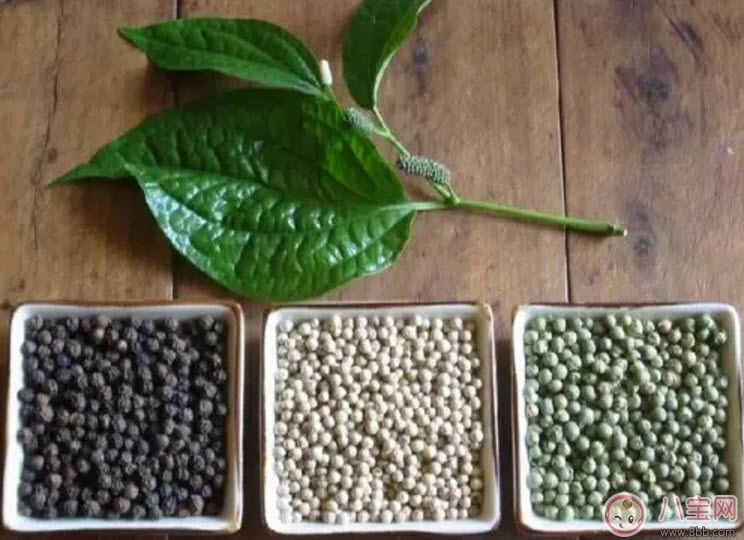 孕婦為什么不能吃胡椒粉 懷孕吃了胡椒會(huì)怎么樣 孕婦為什么不能吃胡椒粉 懷孕吃了胡椒會(huì)怎么樣