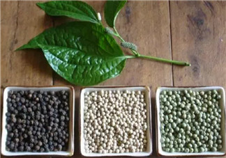 孕婦為什么不能吃胡椒粉 懷孕吃了胡椒會怎么樣