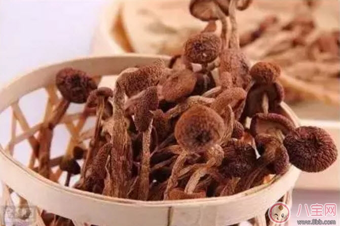 茶樹菇老鴨湯孕婦能喝嗎 孕婦可以喝茶樹菇老鴨湯嗎 茶樹菇老鴨湯孕婦能喝嗎 孕婦可以喝茶樹菇老鴨湯嗎