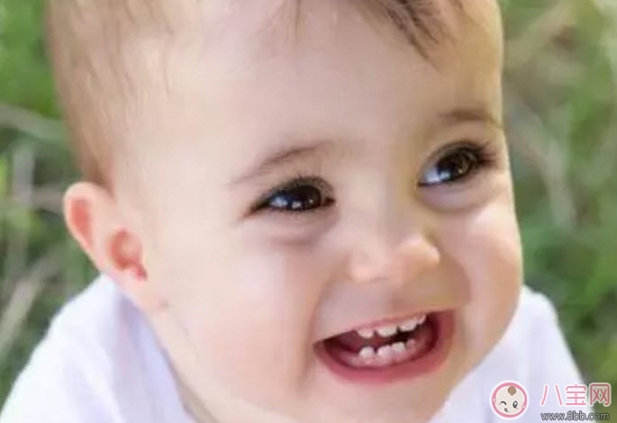 寶寶長(zhǎng)牙期間吃什么好 寶寶長(zhǎng)牙吃什么輔食食譜 寶寶長(zhǎng)牙期間吃什么好 寶寶長(zhǎng)牙吃什么輔食食譜