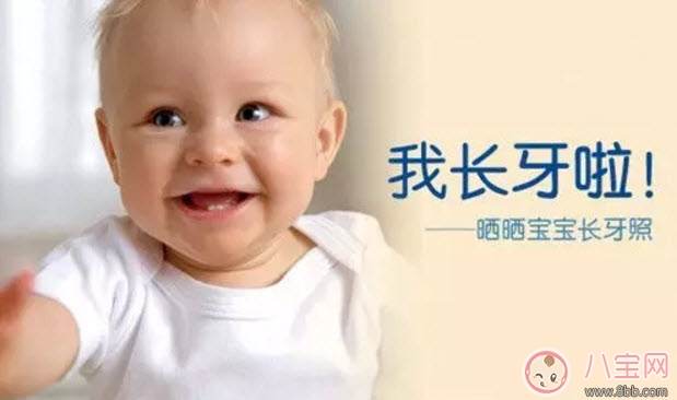 寶寶長(zhǎng)牙期間吃什么好 寶寶長(zhǎng)牙吃什么輔食食譜 寶寶長(zhǎng)牙期間吃什么好 寶寶長(zhǎng)牙吃什么輔食食譜