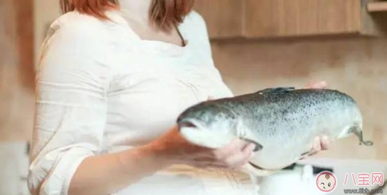 孕婦可以吃海鮮嗎 孕婦可以吃的海鮮有哪些