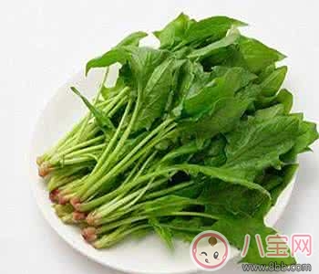 提高寶寶記憶力 這樣做輔食健康營養(yǎng)又全面 提高寶寶記憶力 這樣做輔食健康營養(yǎng)又全面