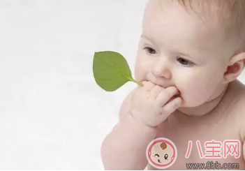 2017頭伏預(yù)防痱子吃對才關(guān)鍵 適合全家人的防痱食譜合集