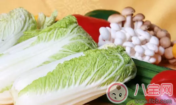 2017三伏天適合小寶寶的蔬菜輔食蔬菜汁合集 2017三伏天適合小寶寶的蔬菜輔食蔬菜汁合集