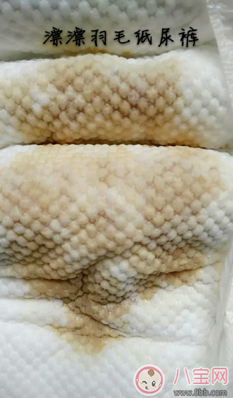 漂漂羽毛和好奇鉑金裝紙尿褲哪個好 漂漂羽毛和好奇紙尿褲對比