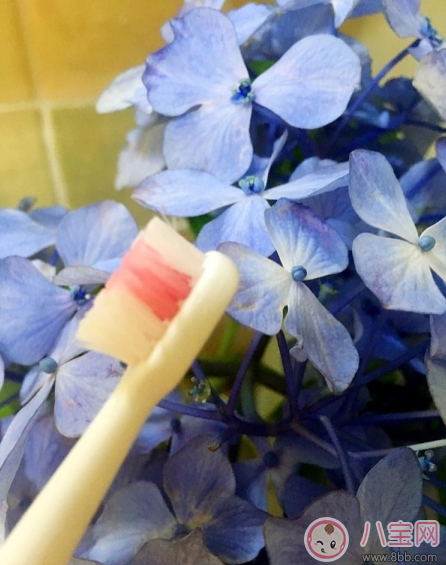 寶寶刷牙用什么牙刷好 sidda兒童智能牙刷測評 寶寶刷牙用什么牙刷好 sidda兒童智能牙刷測評