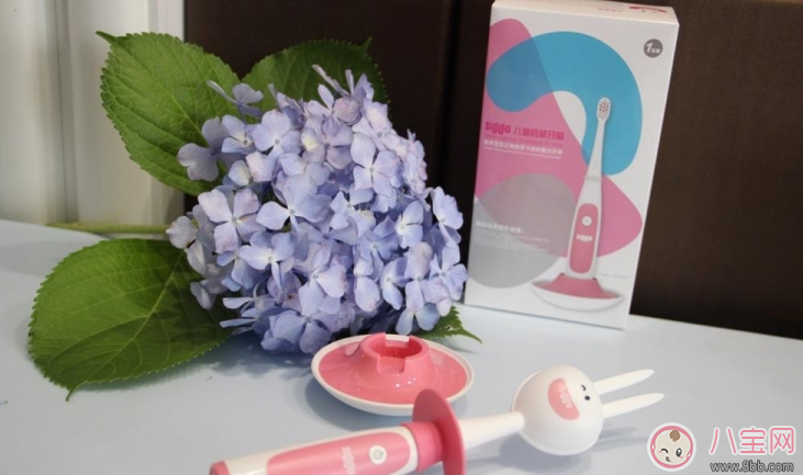 寶寶刷牙用什么牙刷好 sidda兒童智能牙刷測評 寶寶刷牙用什么牙刷好 sidda兒童智能牙刷測評
