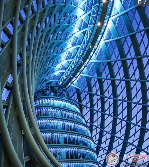 漂漂羽毛發(fā)布會(huì)明星 漂漂羽毛品牌故事 漂漂羽毛發(fā)布會(huì)明星 漂漂羽毛品牌故事