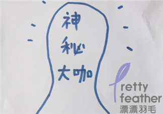 漂漂羽毛發(fā)布會(huì)明星 漂漂羽毛品牌故事