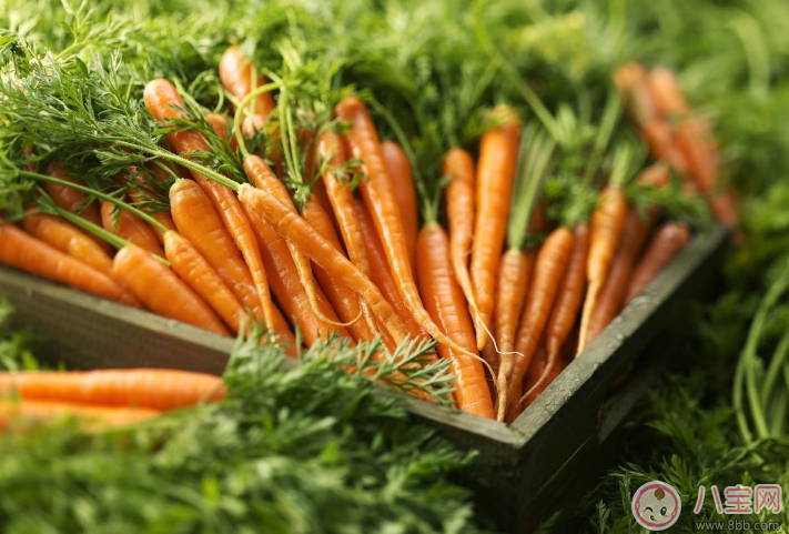 孩子早餐適合吃什么 發(fā)酵類食品推薦 孩子早餐適合吃什么 發(fā)酵類食品推薦