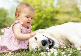 秋季寶寶怎么曬太陽更健康 寶寶曬太陽注意事項