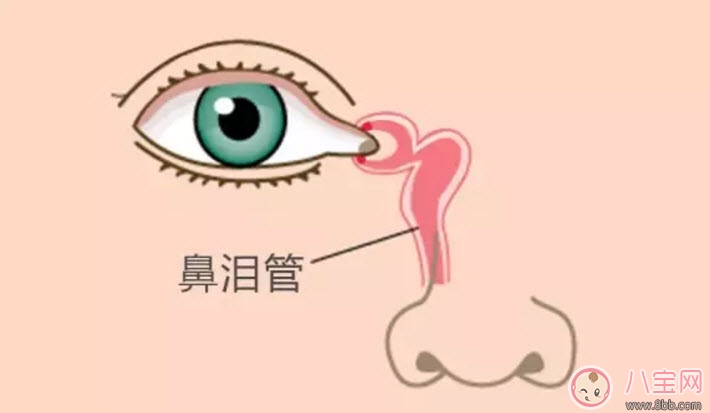 一歲寶寶眼屎突然變多是怎么回事怎么辦 寶寶眼屎多按摩鼻淚管怎么做 一歲寶寶眼屎突然變多是怎么回事怎么辦 寶寶眼屎多按摩鼻淚管怎么做