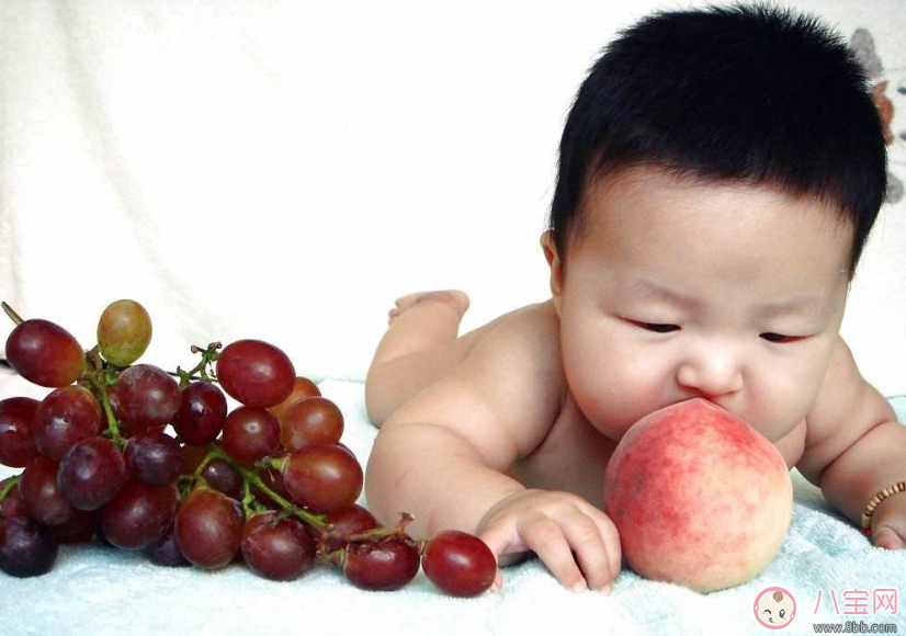 補(bǔ)什么也別忘了補(bǔ)鐵 影響孩子智力的重要元素