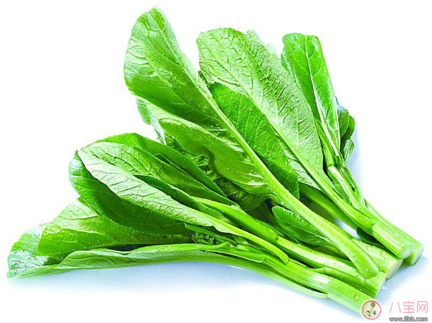 孩子居然不認(rèn)識(shí)瓜果蔬菜 教會(huì)孩子認(rèn)識(shí)蔬菜很重要