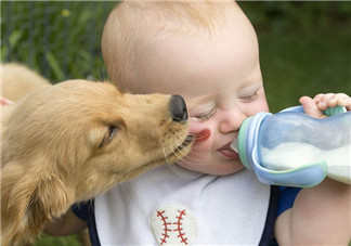 牛奶和配方奶 1歲后到底該喝什么