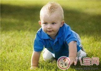 嬰幼兒爬行期 發(fā)展感知能力 嬰幼兒爬行期 發(fā)展感知能力