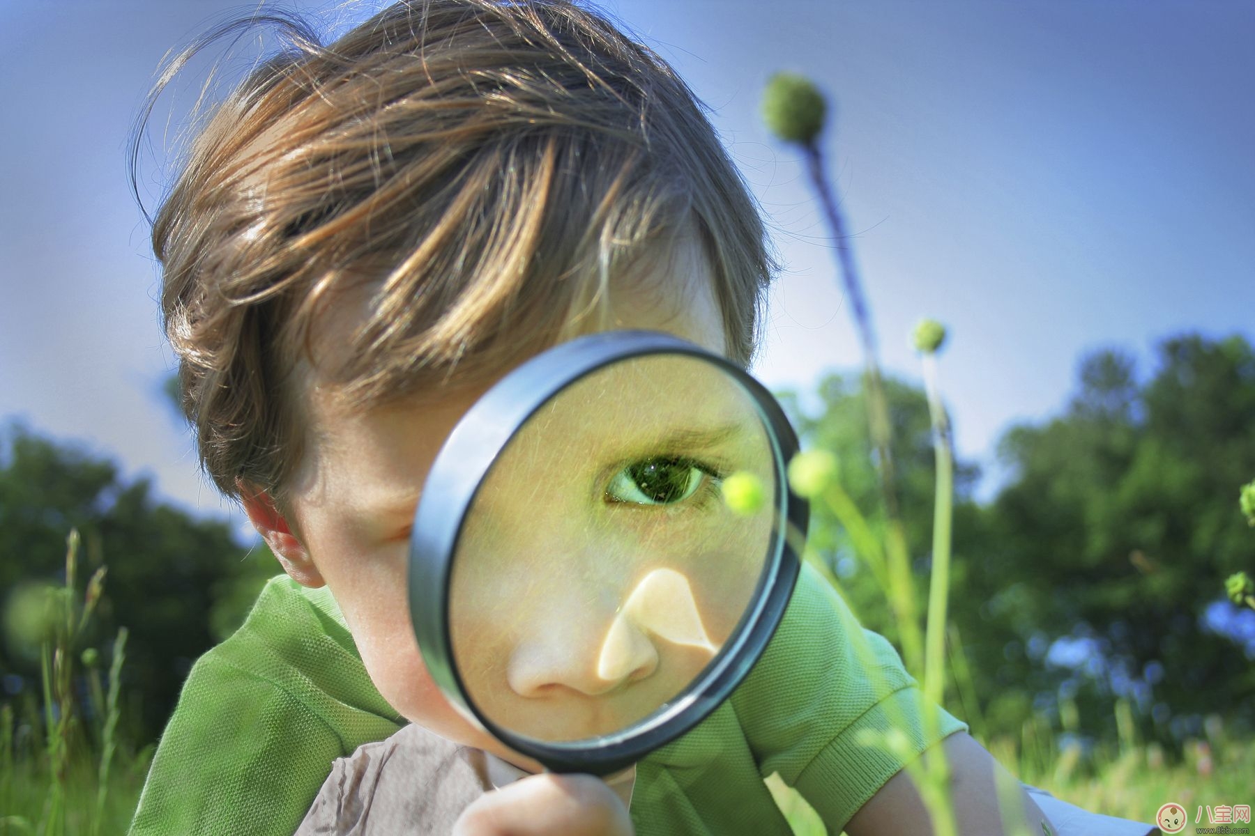 寶寶嗅覺、味覺發(fā)育及訓(xùn)練方法