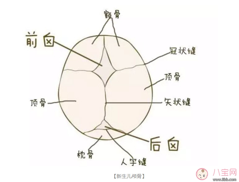 新生兒的頭可以摸嗎 為什么嬰兒的頭不能摸 新生兒的頭可以摸嗎 為什么嬰兒的頭不能摸