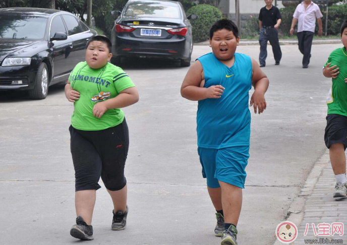 小孩肥胖的危害有哪些 2017兒童肥胖問題大全 小孩肥胖的危害有哪些 2017兒童肥胖問題大全