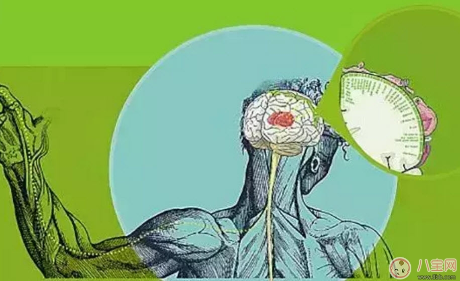 孩子觸覺(jué)遲鈍怎么辦 寶寶觸覺(jué)遲鈍訓(xùn)練方法有哪些