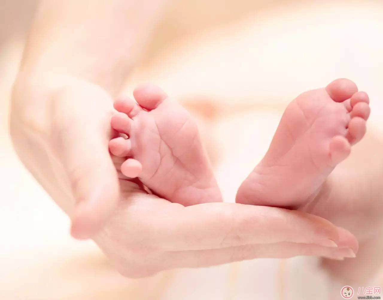 秋天寶寶肌膚呵護方法 秋天寶寶肌膚呵護方法