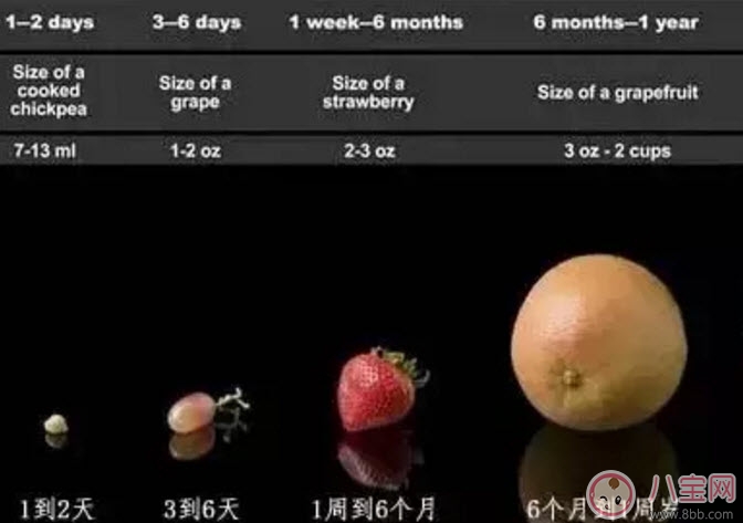 0-12月寶寶奶量標(biāo)準(zhǔn) 早產(chǎn)兒每日需要多少奶量 0-12月寶寶奶量標(biāo)準(zhǔn) 早產(chǎn)兒每日需要多少奶量