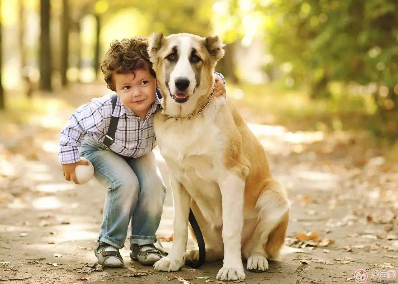 寵物攻擊性測試方法 寶寶被寵物咬傷的正確處理  