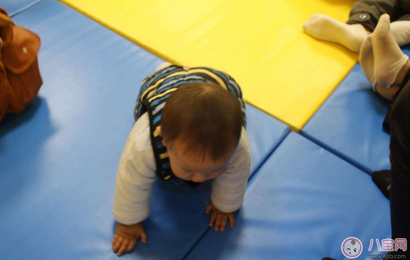 如何教會孩子爬行 孩子爬行怎么教 如何教會孩子爬行 孩子爬行怎么教