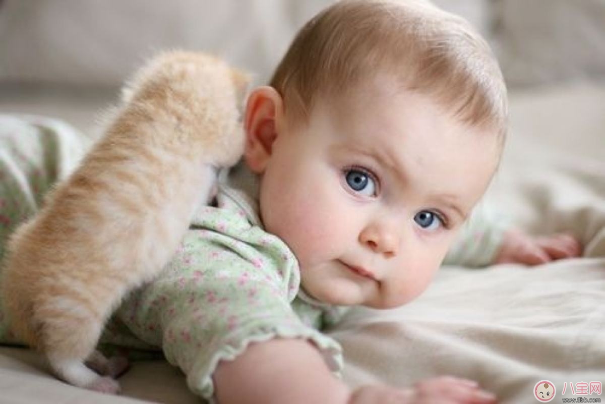 寶寶穿衣學問大 挑選衣物要謹慎 寶寶穿衣學問大 挑選衣物要謹慎