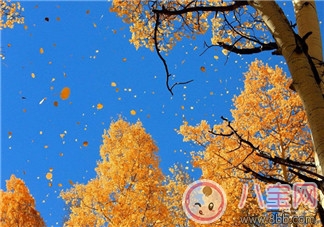 如何預(yù)防嬰幼兒秋燥癥 寶寶秋燥癥怎么吃 如何預(yù)防嬰幼兒秋燥癥 寶寶秋燥癥怎么吃